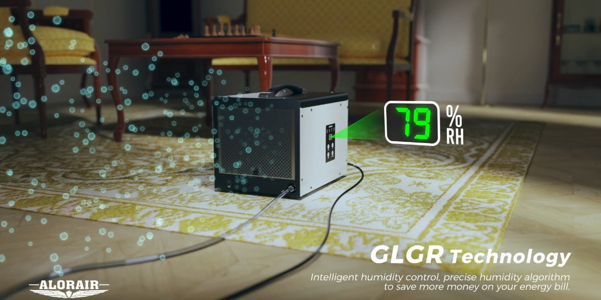 Can a Dehumidifier Help Preserve Electronics? Essential Benefits Explained