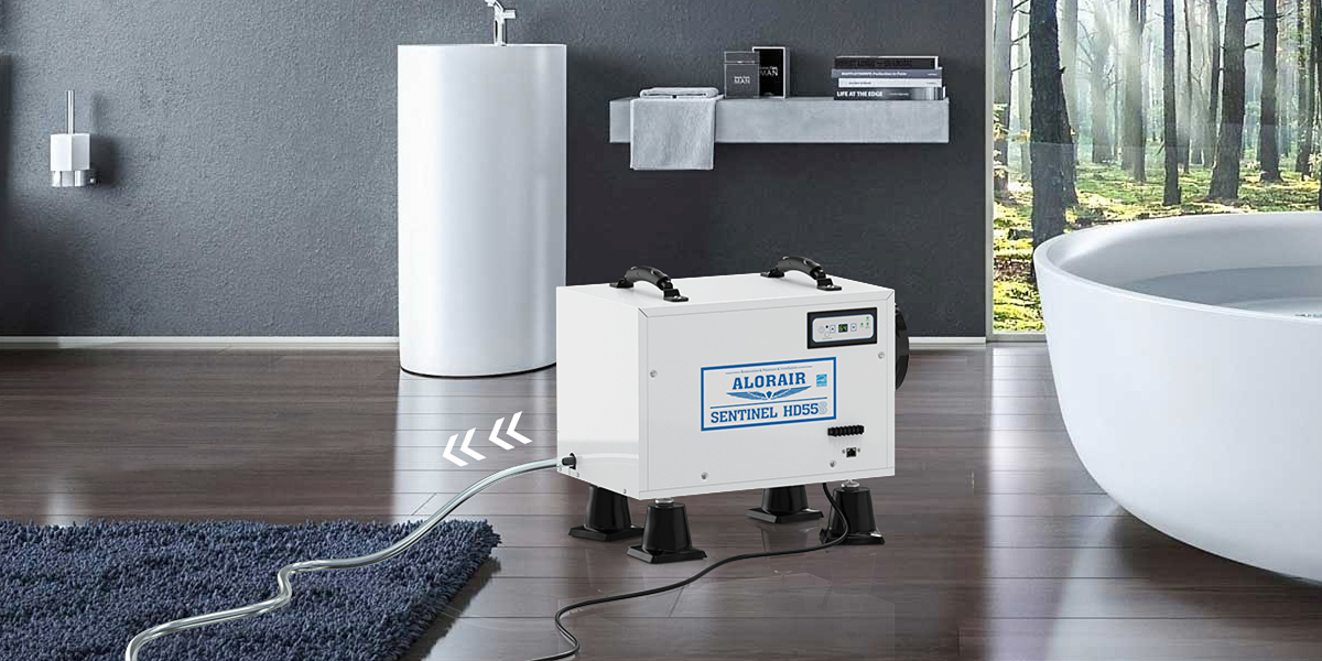 How to Choose a Dehumidifier