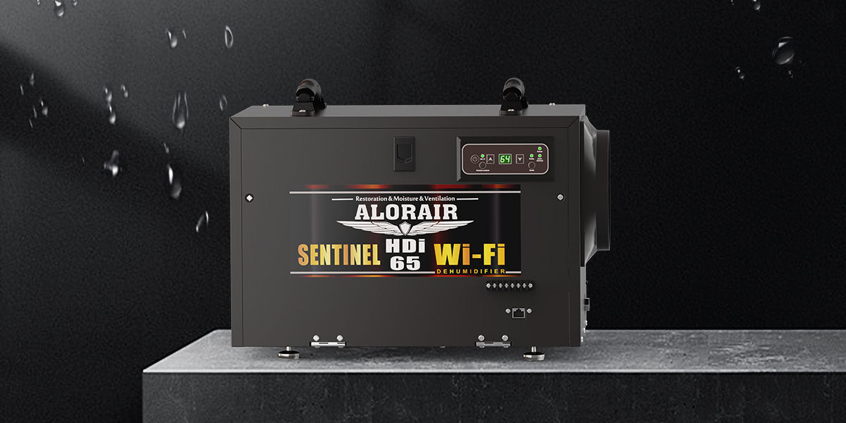 Is Water from Dehumidifier Distilled? What You Need to Know