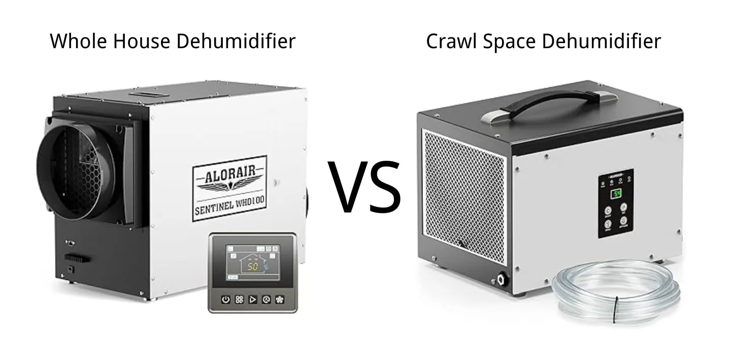 Whole Home Vs. Crawl Space Dehumidifier – Which Do You Need?