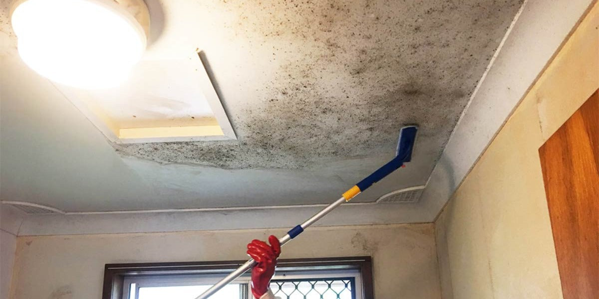how to get rid of mold in bathroom ceiling