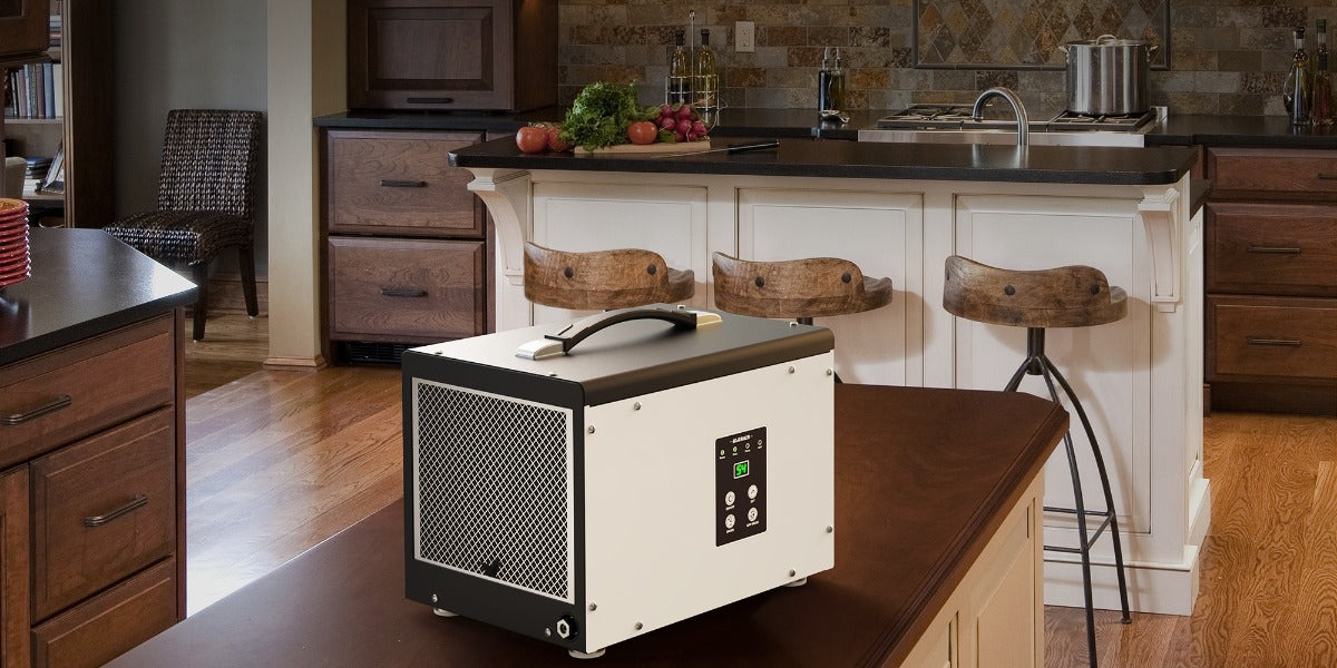 Should I Put a Dehumidifier Upstairs or Downstairs?