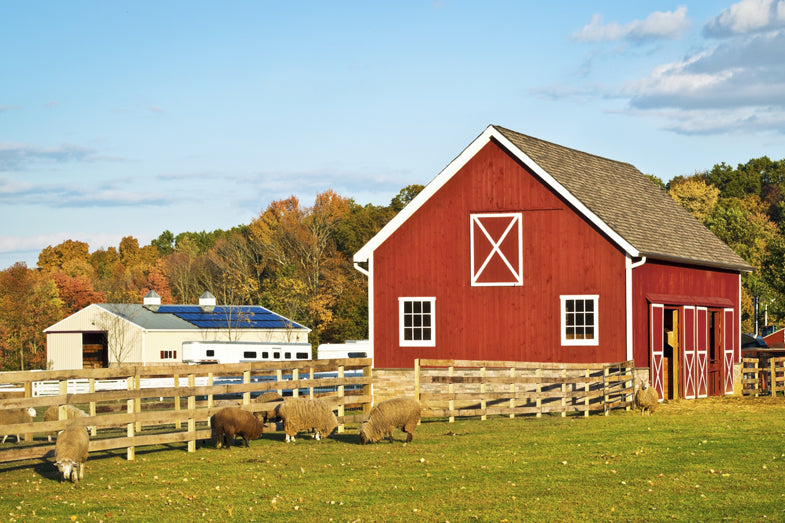 Farm Structure Moisture Protection Solution