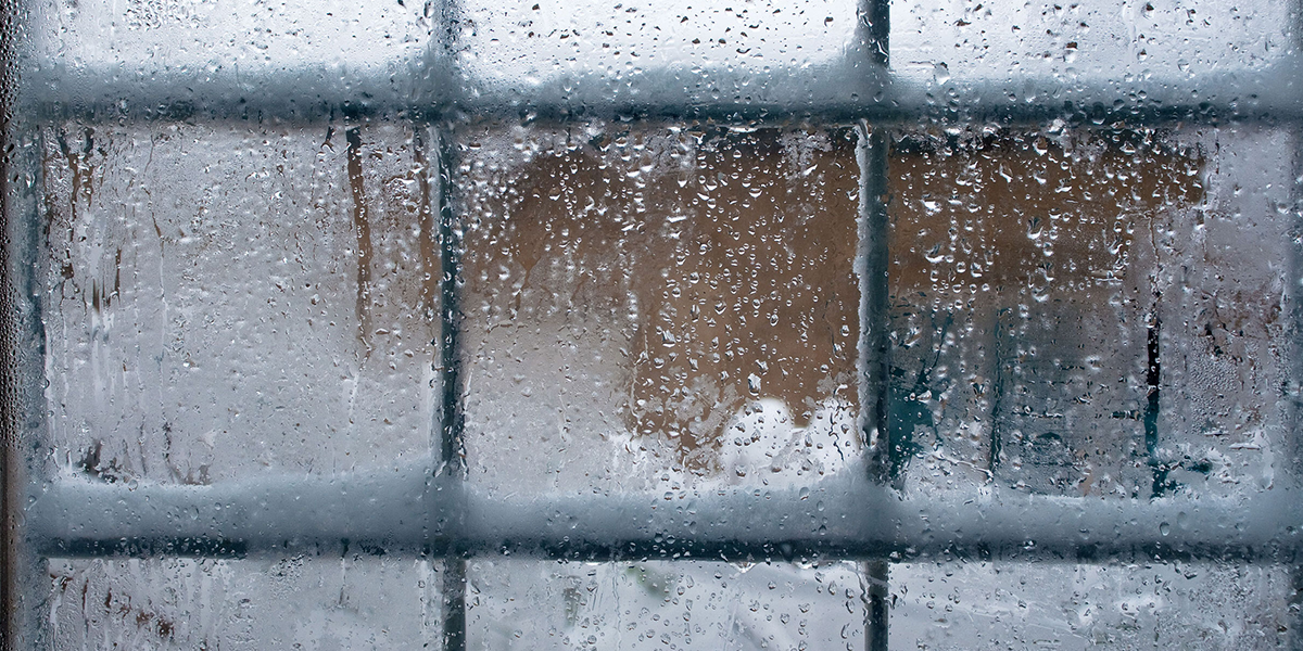 3 Reasons To Use A Dehumidifier In Winter