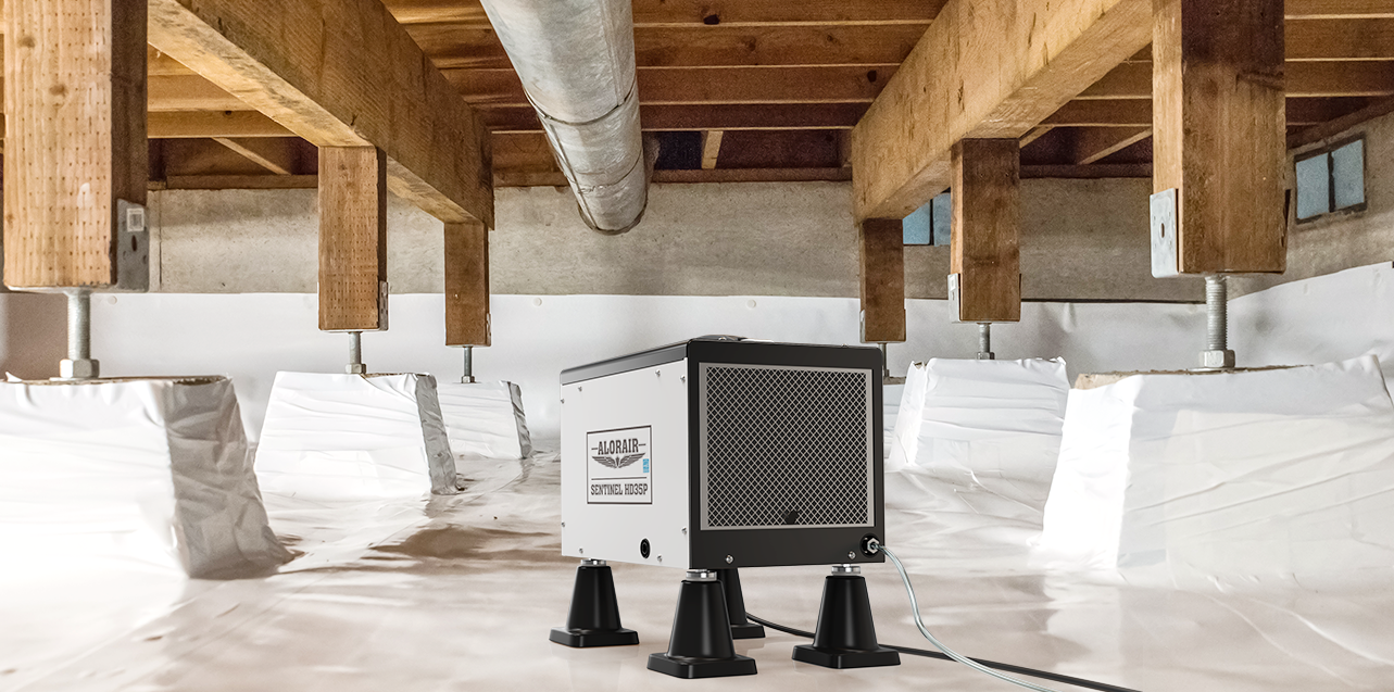 Can I Use a Regular Dehumidifier in a Crawl Space