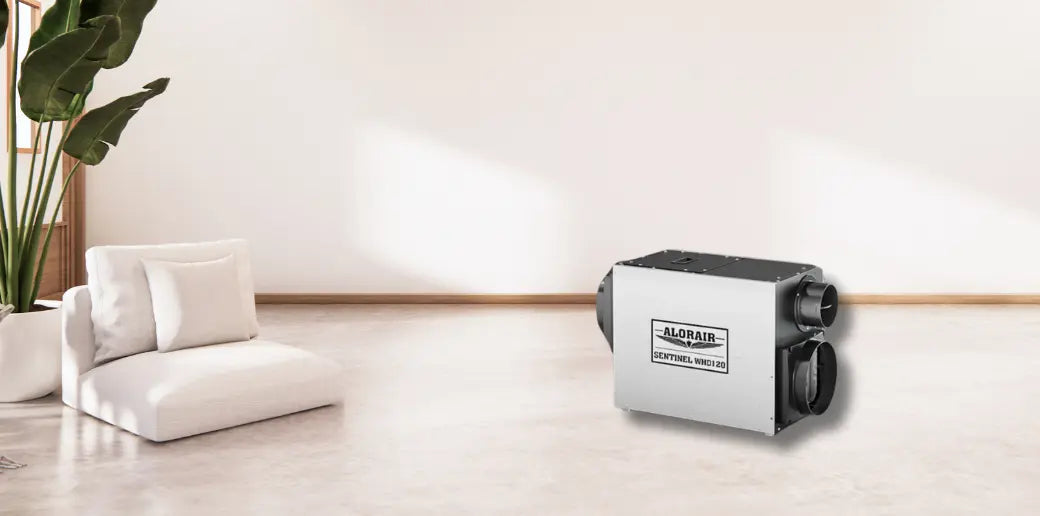 You Need a Whole House Dehumidifier