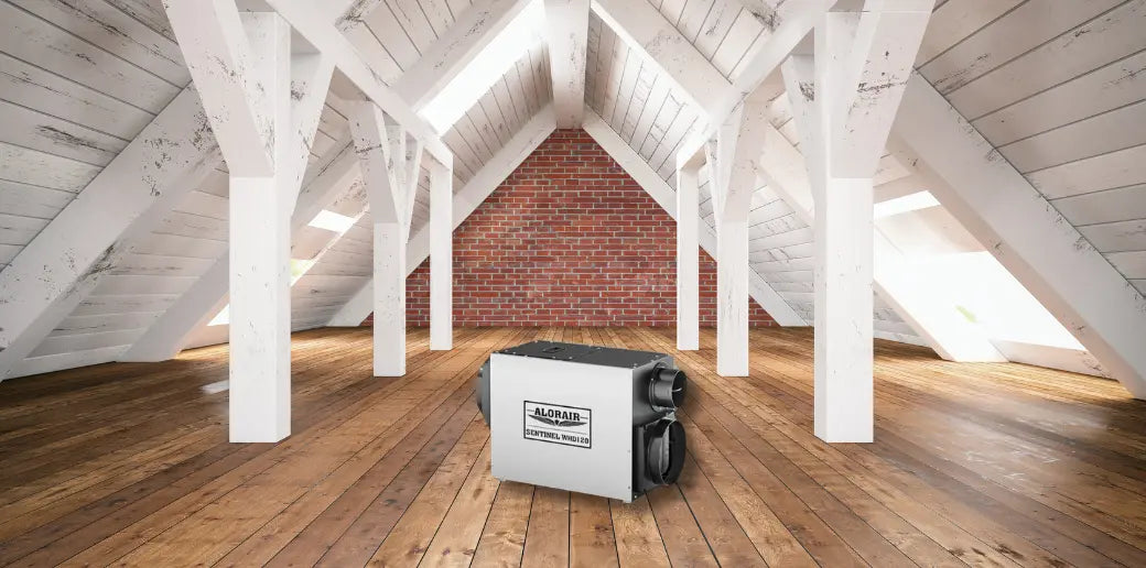 Can You Put a Dehumidifier in the Attic