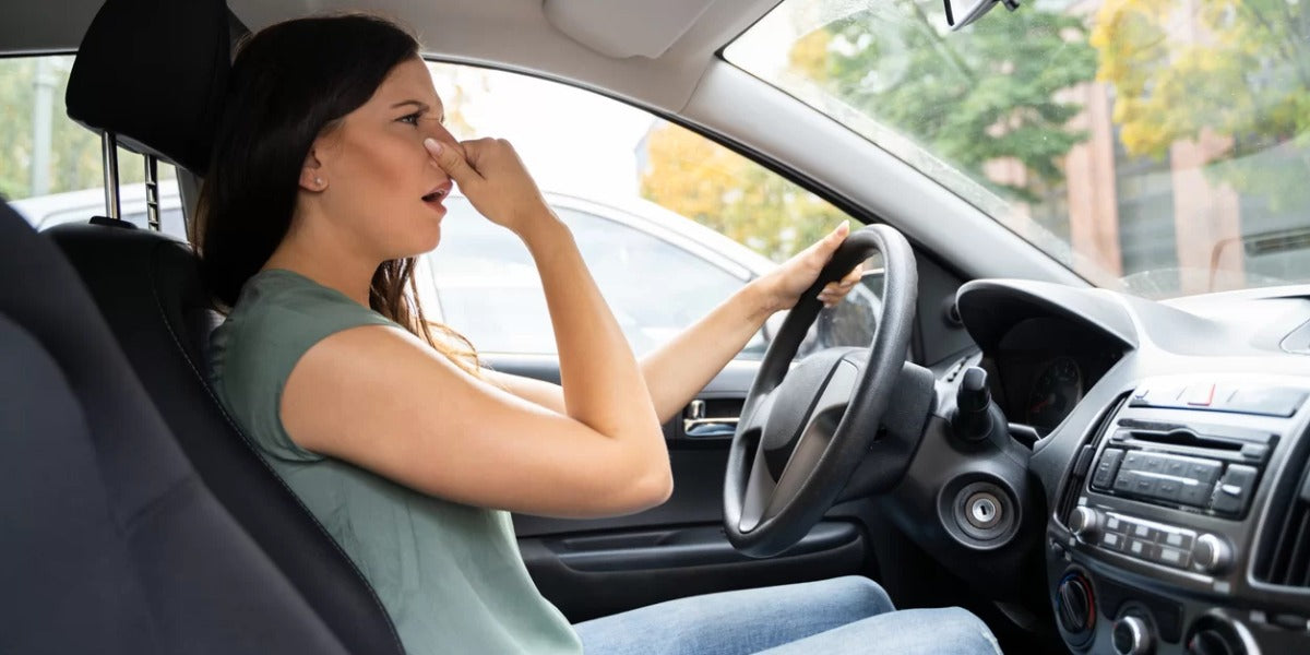 Dehumidifier in a Car