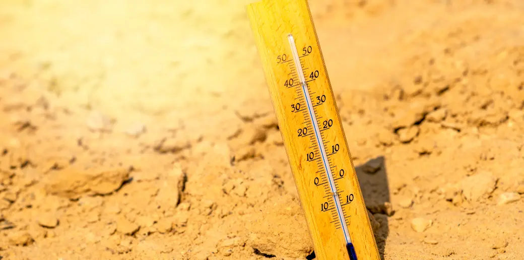 Dry Heat vs. Humid Heat