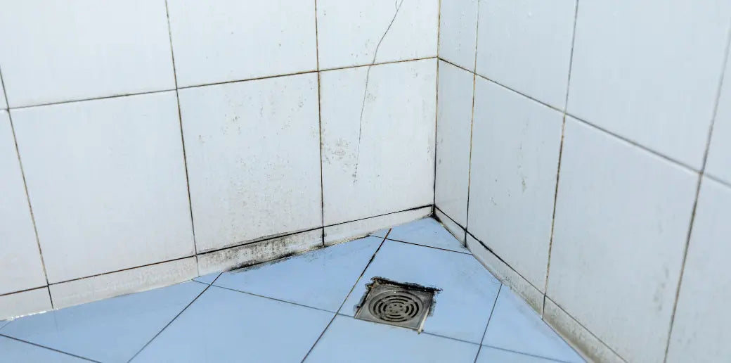 How to Easily Get Rid of Mold in Your Bathroom and Shower