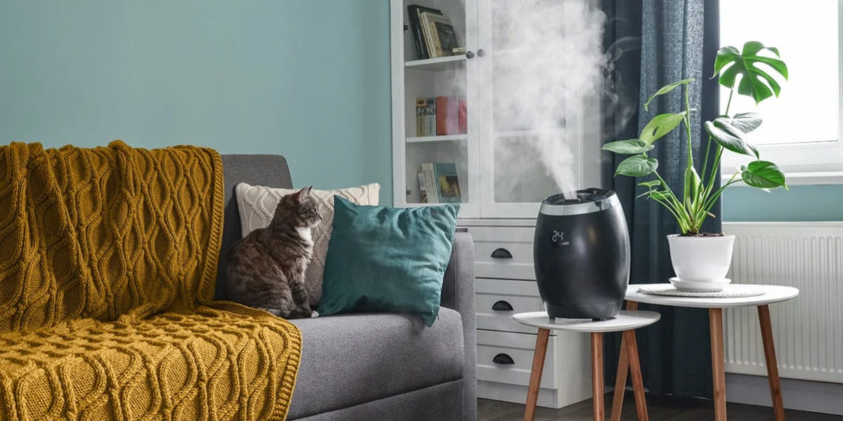 Humidifier vs Dehumidifier