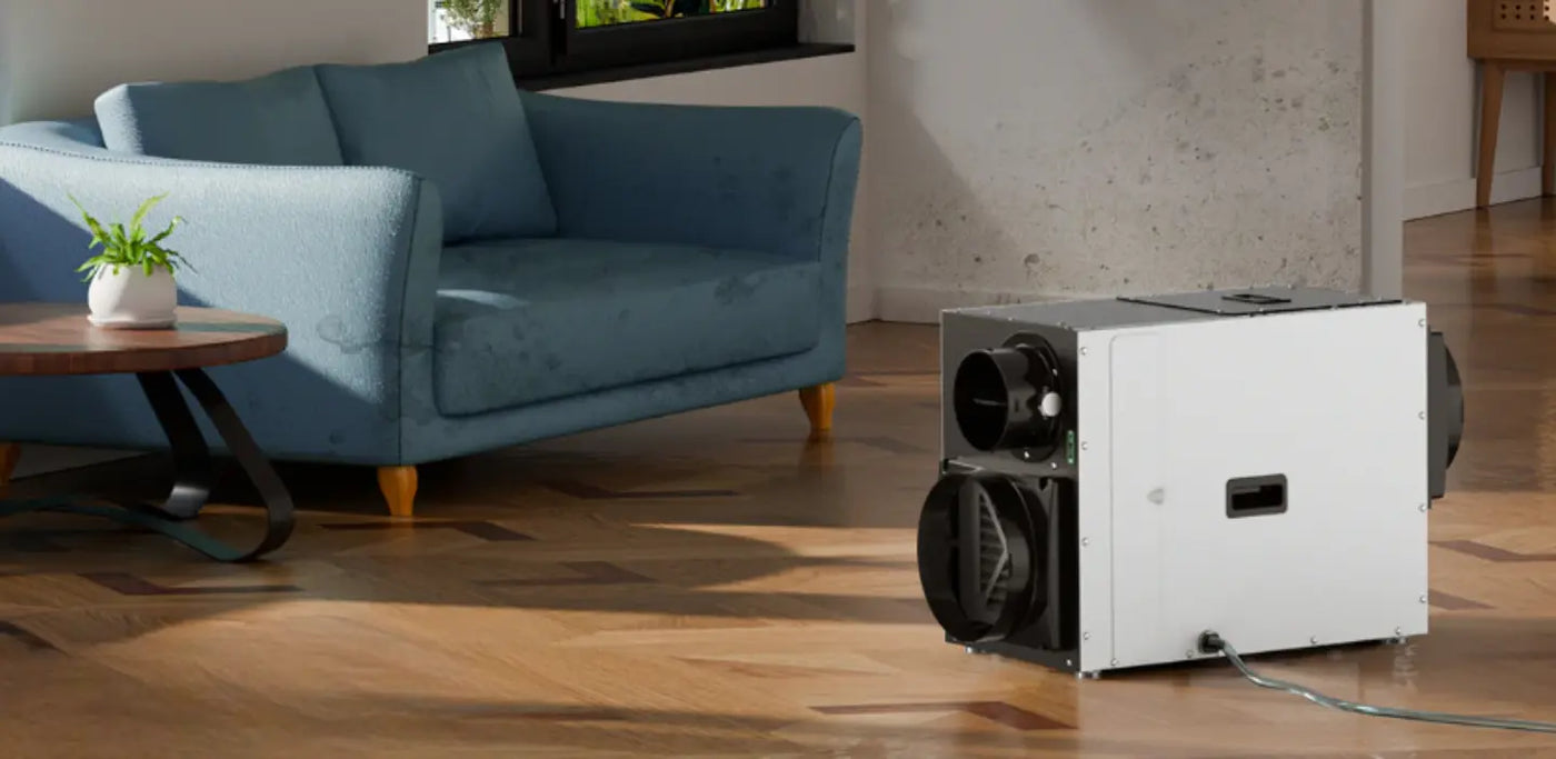 Is A Whole House Dehumidifier Worth It