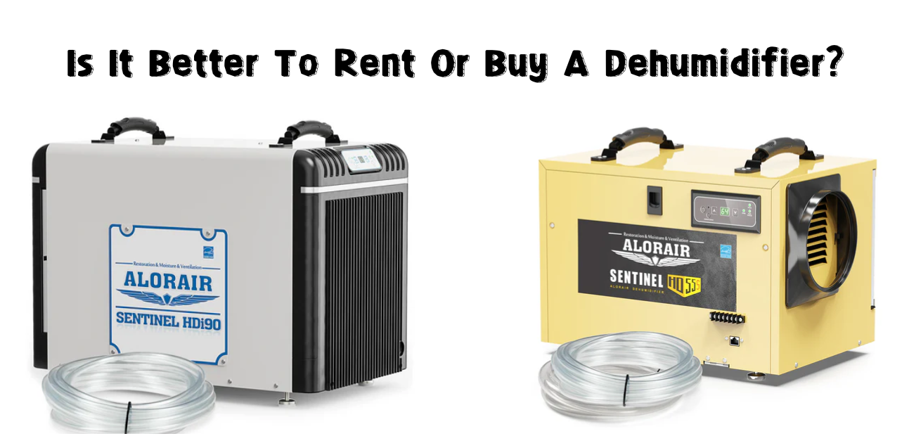 Is It Better To Rent Or Buy A Dehumidifier?