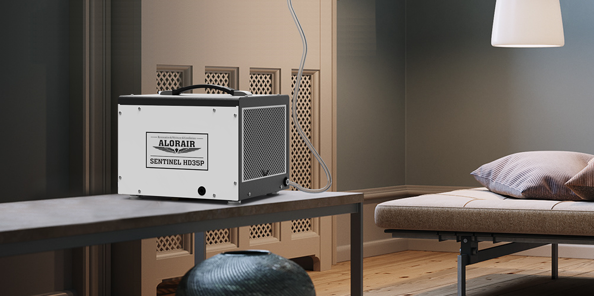 Is Water from Dehumidifier Distilled? What You Need to Know