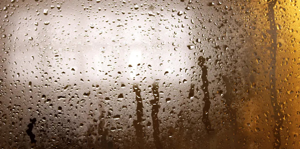 Be Humid Is the US or the UK More Humid – AlorairCrawlspace