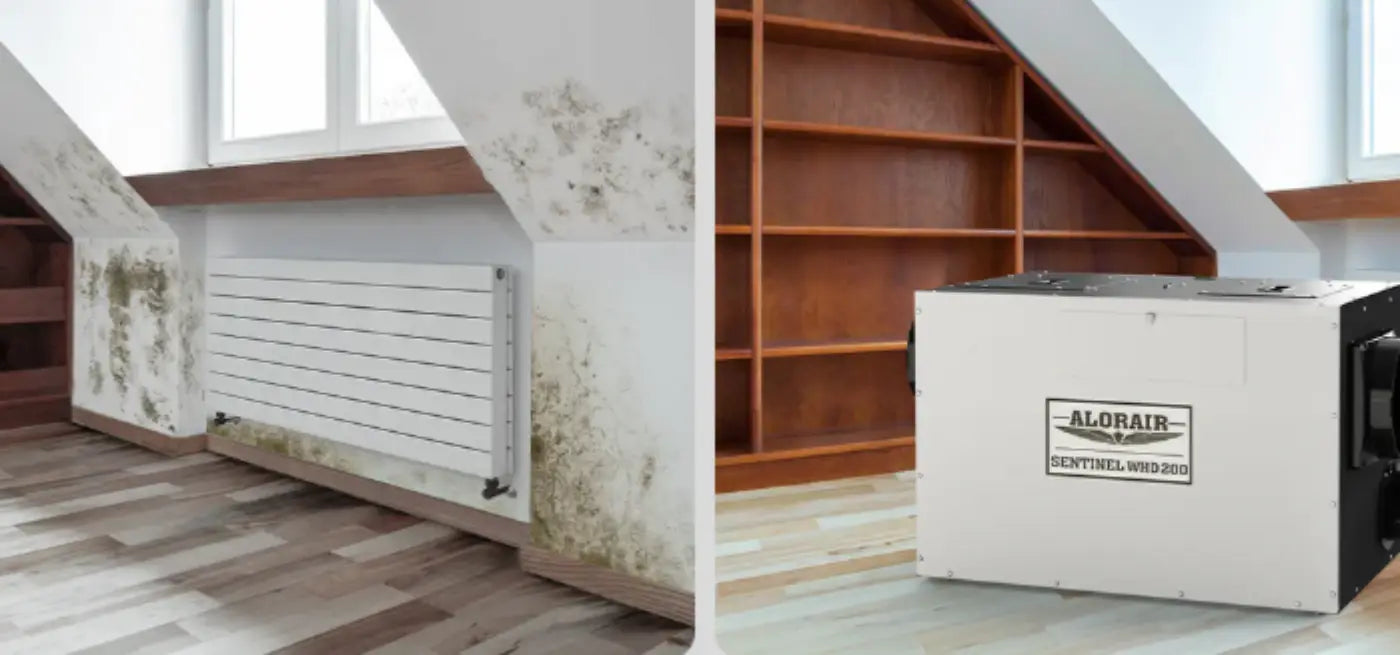 Are Whole-House Dehumidifiers Worth It? Pros & Cons by Climate