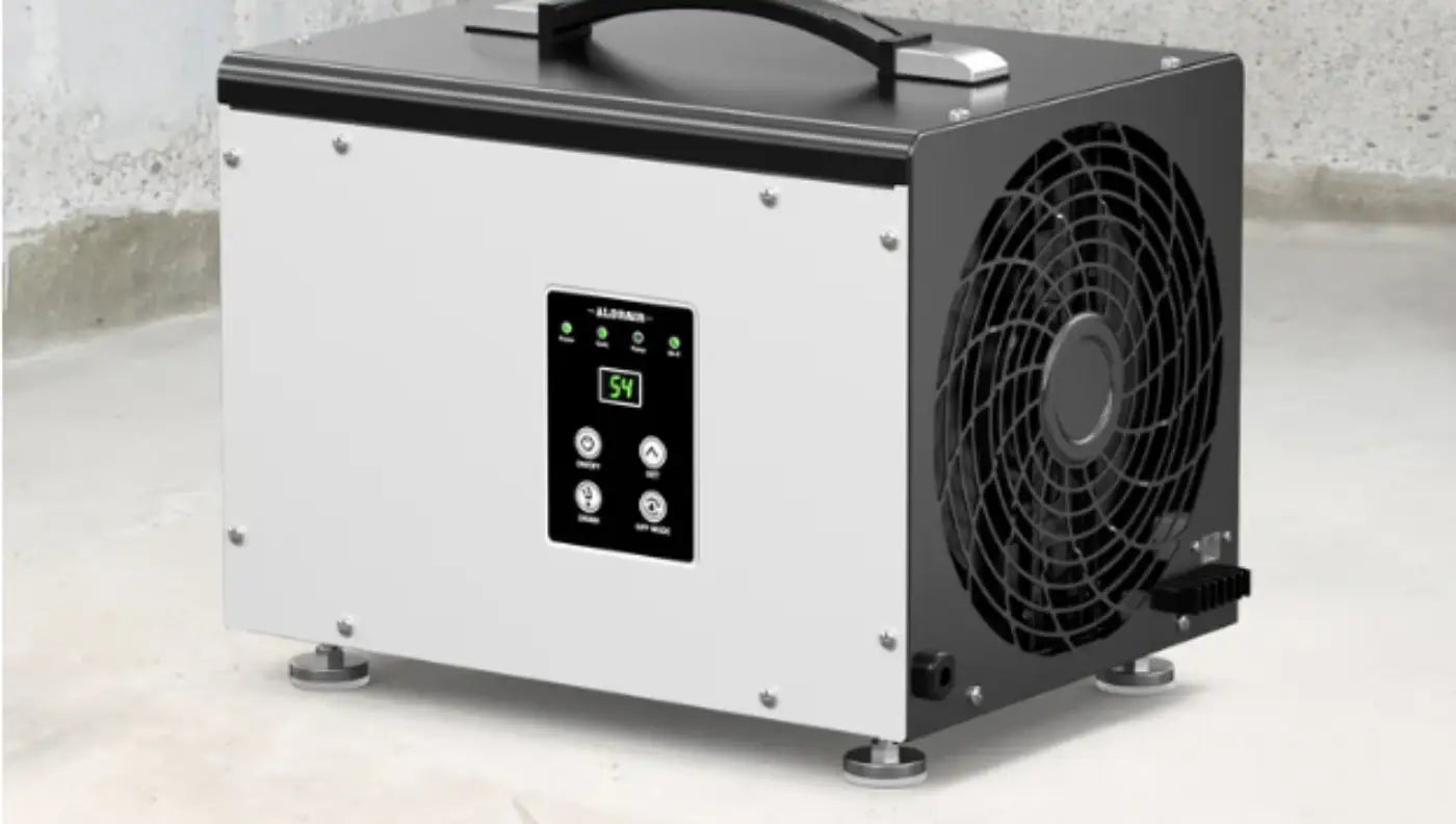 Best Crawl Space Dehumidifiers in 2025 (By Space, Height & Pump)