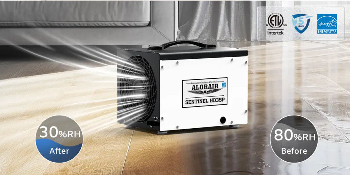 When to Run a Dehumidifier?
