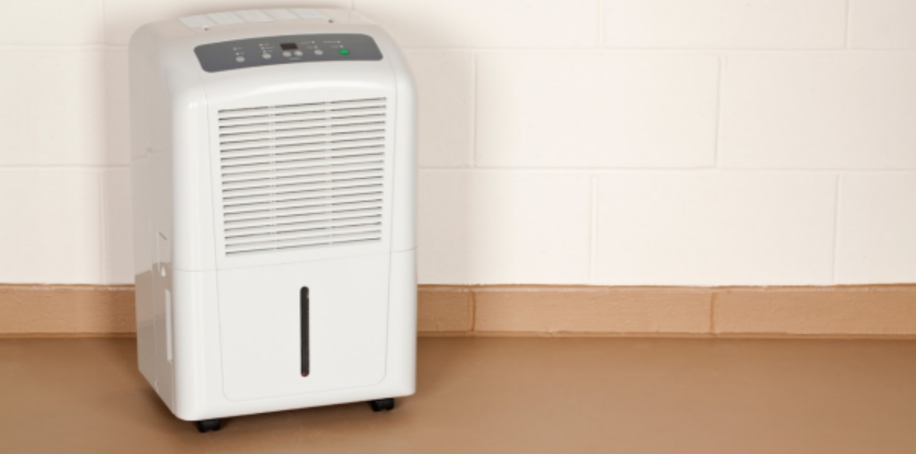 Basement Dehumidifier