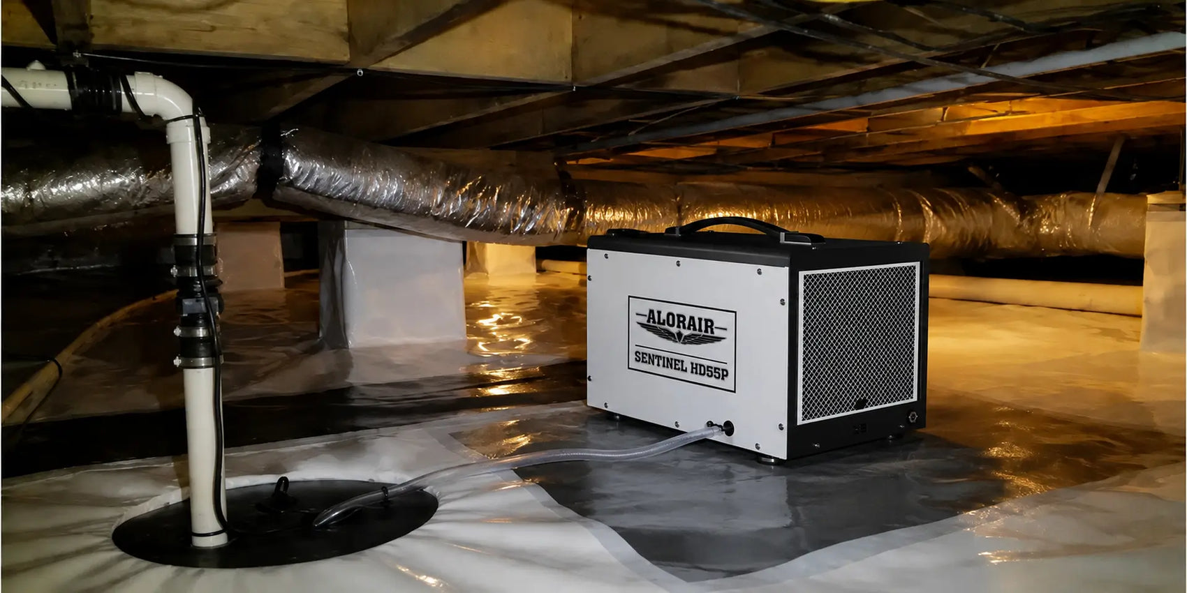 AlorAir Sentinel HD55P crawl space dehumidifier installed on raised supports with a drain hose in an encapsulated crawl space.