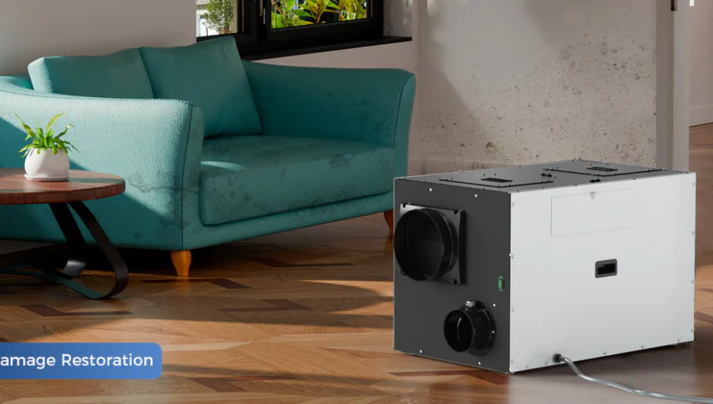 Whole House Dehumidifier Cost: Equipment, Installation & Ongoing Power