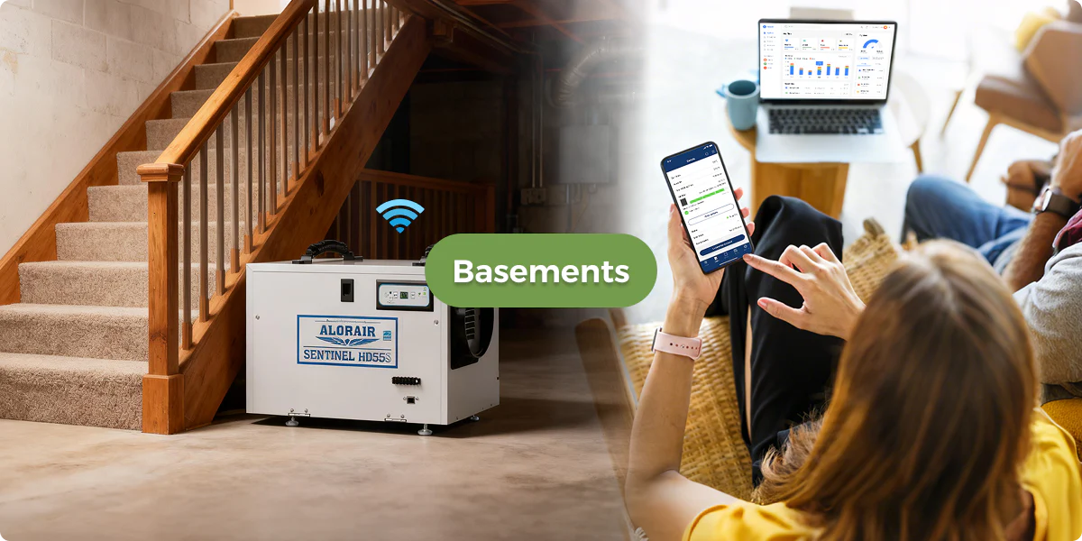 How to Keep Your Basement Dry Without a Dehumidifier: 9 Proven Methods