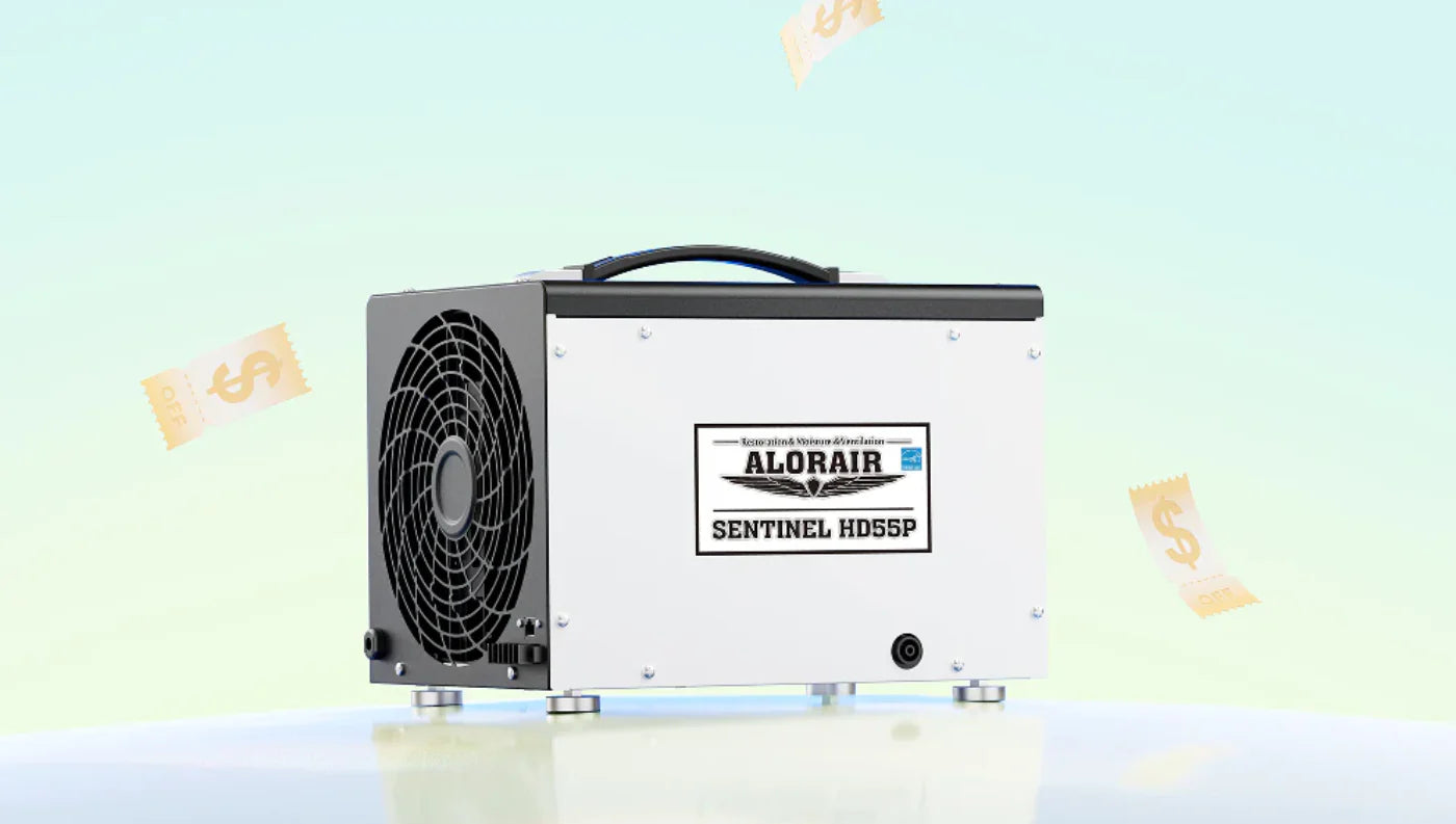 Encapsulation vs Dehumidifier vs Fans: What Actually Solves Moisture?