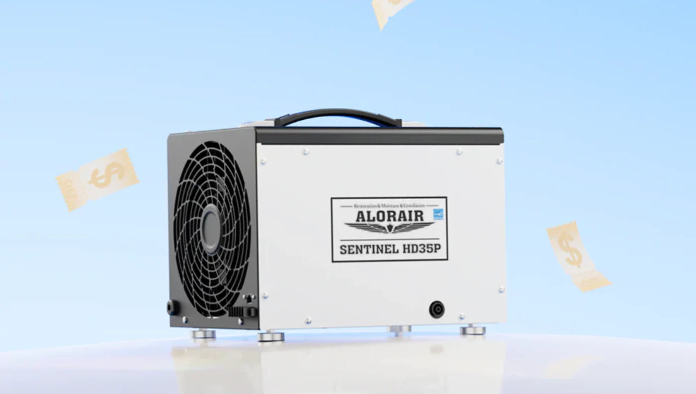 Wholesale vs Dropship vs Amazon FBA: Which Model Fits Your Business?