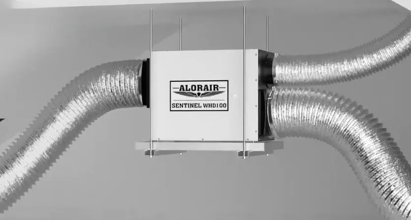 Get to Know the Best Dehumidifier for Whole Homes