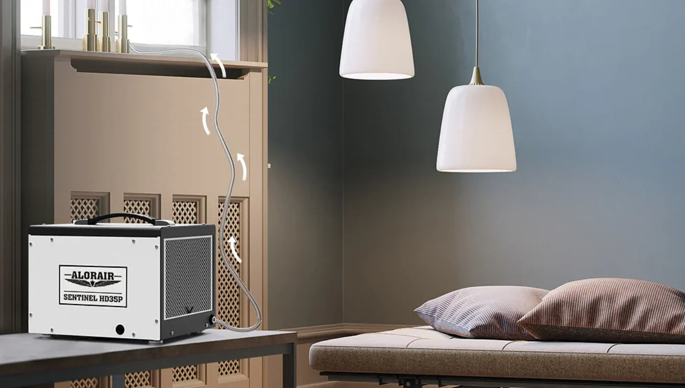 Crawl Space Dehumidifier vs Regular: What’s the Difference?