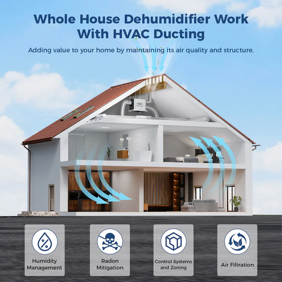 Are Whole House Dehumidifiers Worth It?