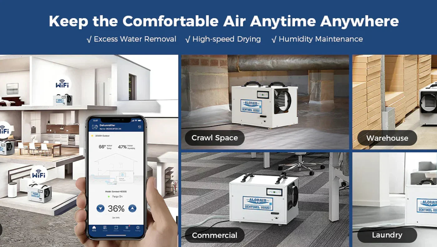 Best Wi‑Fi Dehumidifiers with Pump (Remote Drain Made Simple)