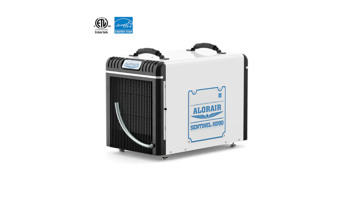 Crawl Space Encapsulation Cost: Materials, Labor & Dehumidifier Add‑Ons