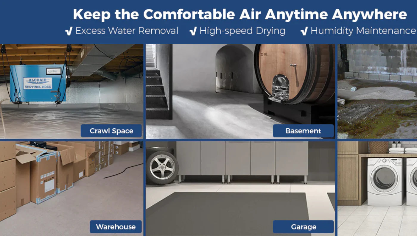 Crawl Space Dehumidifier Settings: What to Set and Why