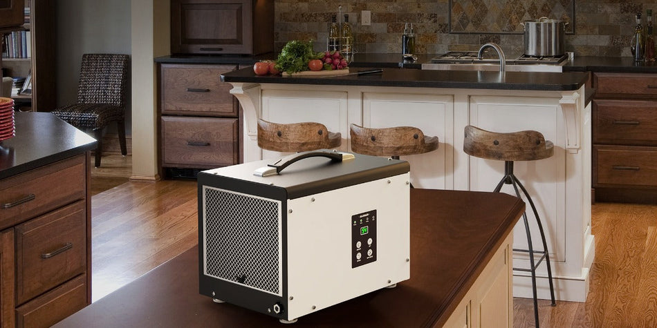 Dehumidifier Maintenance