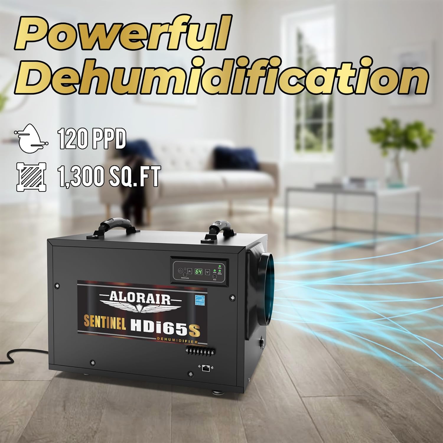 AlorAir 120 PPD Crawl Space Dehumidifiers with Pump and Drain Hose | Sentinel HDi65S (Black) | Size for 1300 sq.ft