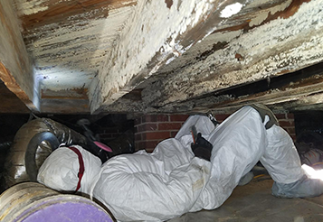 Will a Dehumidifier Prevent Mold in Your Crawl Space?