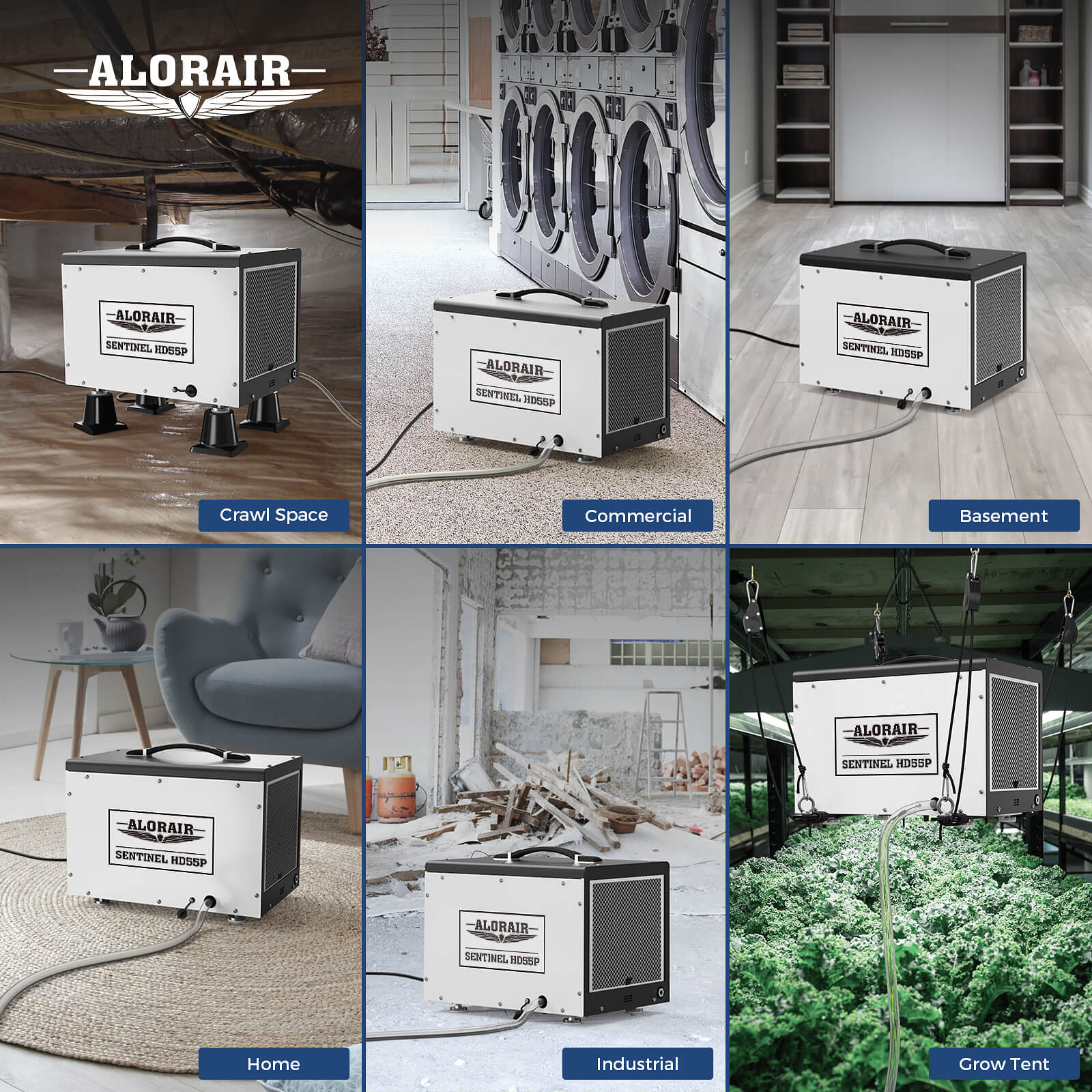 AlorAir 120 PPD Crawl Space Dehumidifier with Pump and Drain Hose | Sentinel HD55P | Size for 1500 sq.ft