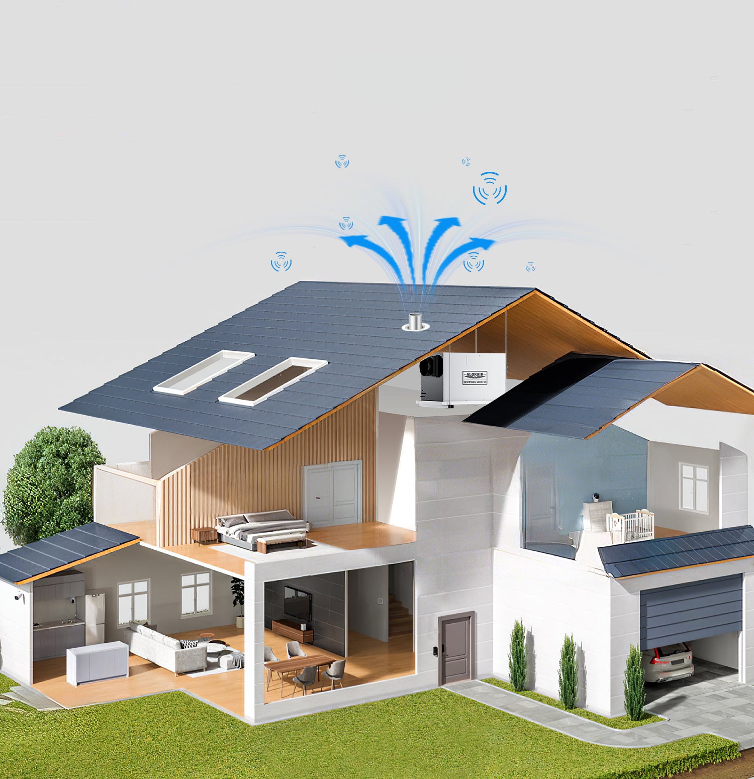 Radon Mitigation