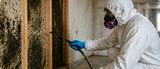 Mold Remediation